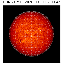 gong - 2026-09-11T02:00:42