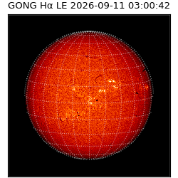 gong - 2026-09-11T03:00:42