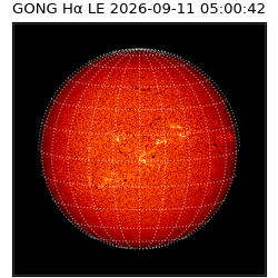 gong - 2026-09-11T05:00:42