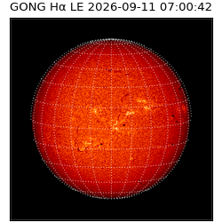 gong - 2026-09-11T07:00:42