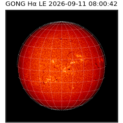 gong - 2026-09-11T08:00:42