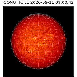 gong - 2026-09-11T09:00:42