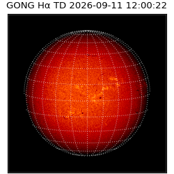 gong - 2026-09-11T12:00:22