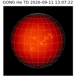 gong - 2026-09-11T13:07:22