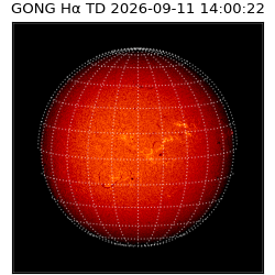 gong - 2026-09-11T14:00:22