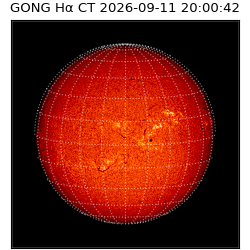 gong - 2026-09-11T20:00:42