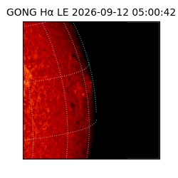 gong - 2026-09-12T05:00:42