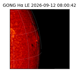 gong - 2026-09-12T08:00:42