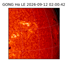gong - 2026-09-12T02:00:42