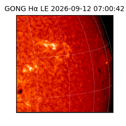 gong - 2026-09-12T07:00:42