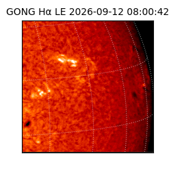 gong - 2026-09-12T08:00:42