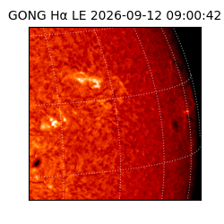 gong - 2026-09-12T09:00:42
