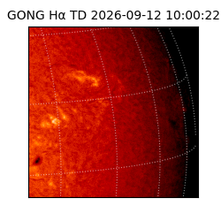 gong - 2026-09-12T10:00:22