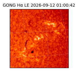 gong - 2026-09-12T01:00:42