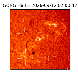 gong - 2026-09-12T02:00:42