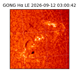 gong - 2026-09-12T03:00:42