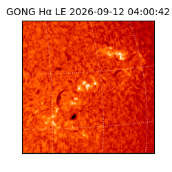 gong - 2026-09-12T04:00:42
