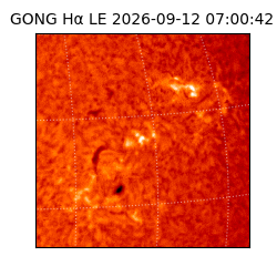 gong - 2026-09-12T07:00:42