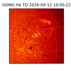 gong - 2026-09-12T10:00:22