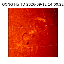 gong - 2026-09-12T14:00:22