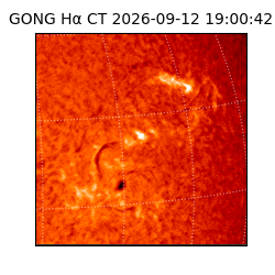 gong - 2026-09-12T19:00:42