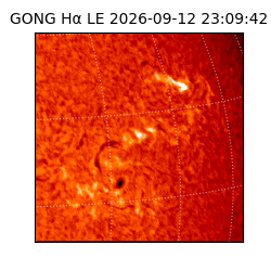 gong - 2026-09-12T23:09:42