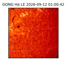 gong - 2026-09-12T01:00:42
