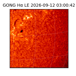 gong - 2026-09-12T03:00:42