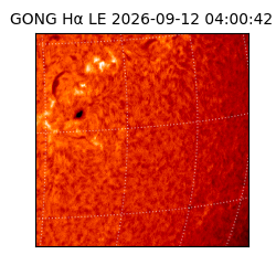 gong - 2026-09-12T04:00:42