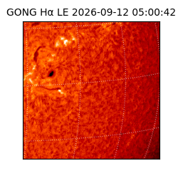 gong - 2026-09-12T05:00:42