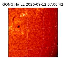 gong - 2026-09-12T07:00:42