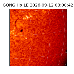 gong - 2026-09-12T08:00:42