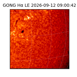 gong - 2026-09-12T09:00:42