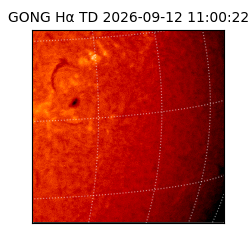 gong - 2026-09-12T11:00:22