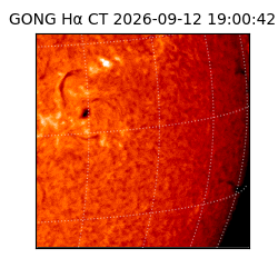 gong - 2026-09-12T19:00:42