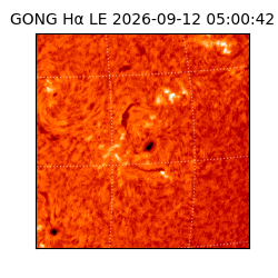 gong - 2026-09-12T05:00:42