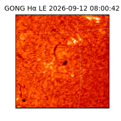 gong - 2026-09-12T08:00:42