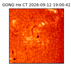 gong - 2026-09-12T19:00:42