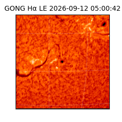 gong - 2026-09-12T05:00:42
