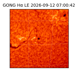 gong - 2026-09-12T07:00:42