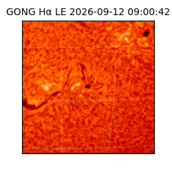 gong - 2026-09-12T09:00:42