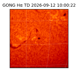 gong - 2026-09-12T10:00:22