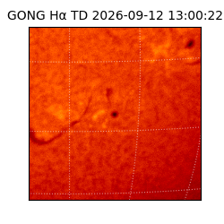 gong - 2026-09-12T13:00:22