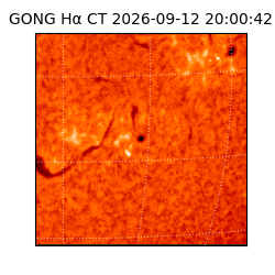 gong - 2026-09-12T20:00:42