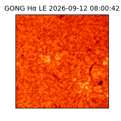 gong - 2026-09-12T08:00:42
