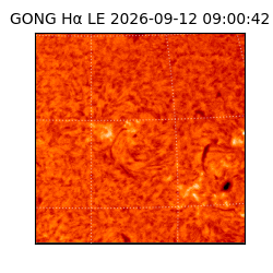 gong - 2026-09-12T09:00:42