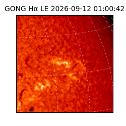 gong - 2026-09-12T01:00:42
