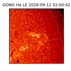 gong - 2026-09-12T02:00:42