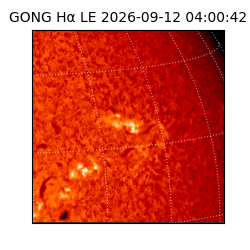 gong - 2026-09-12T04:00:42