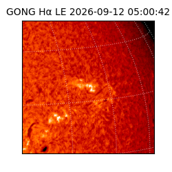 gong - 2026-09-12T05:00:42